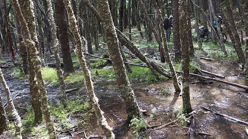 Patagonia day 24-25: Villa O'Higgins to El Chaltén (plus a lazy rainy rest day)