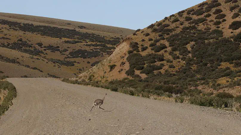 Patagonia day 31: Police station to Tapi Aike