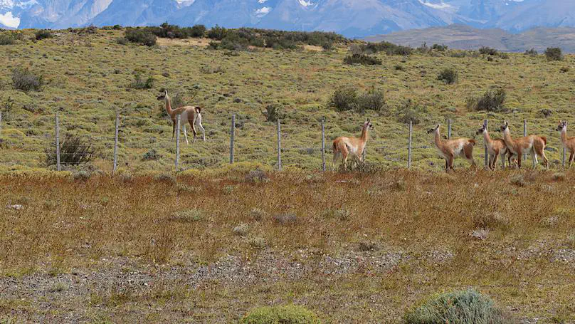 Patagonia day 33: Cerro Castillo to Camping Lago Pehoé