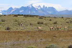 Patagonia day 33: Cerro Castillo to Camping Lago Pehoé