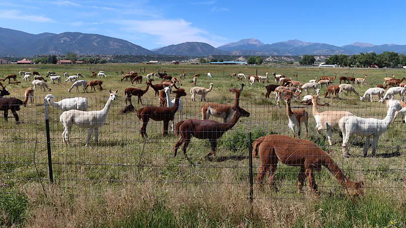 Southwest Day 5: Johnson Village to Salida