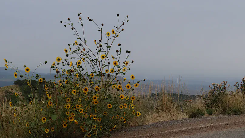 Southwest Day 9: Cimarron Campground to Black Canyon of the Gunnison