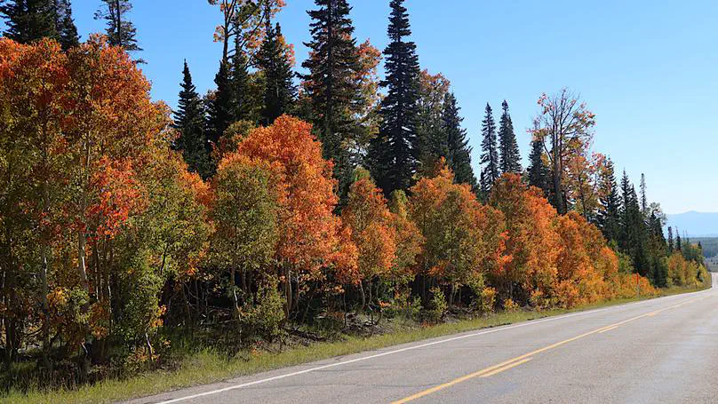 Southwest Day 25: Cedar Breaks to Red Canyon