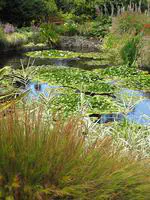 TAS day 16: Richmond to Hobart