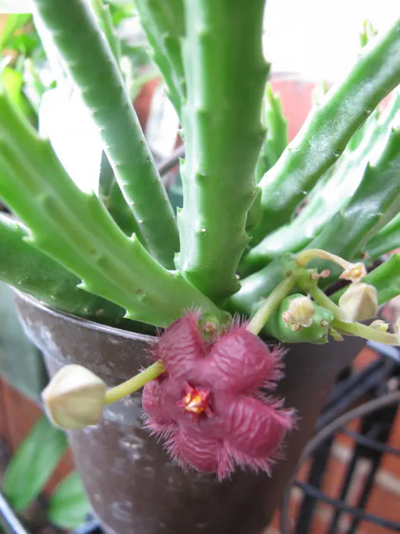 2016-08-15 12.17.00.jpg