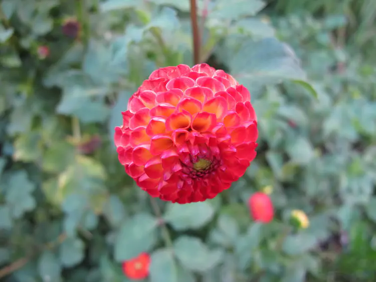 2016-08-21 19.41.43.jpg