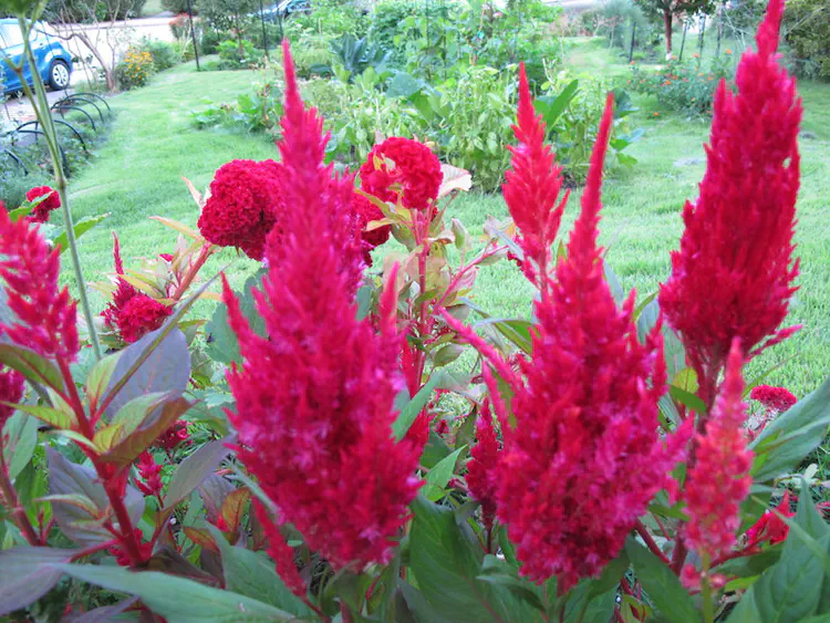 2016-08-21 19.46.24.jpg