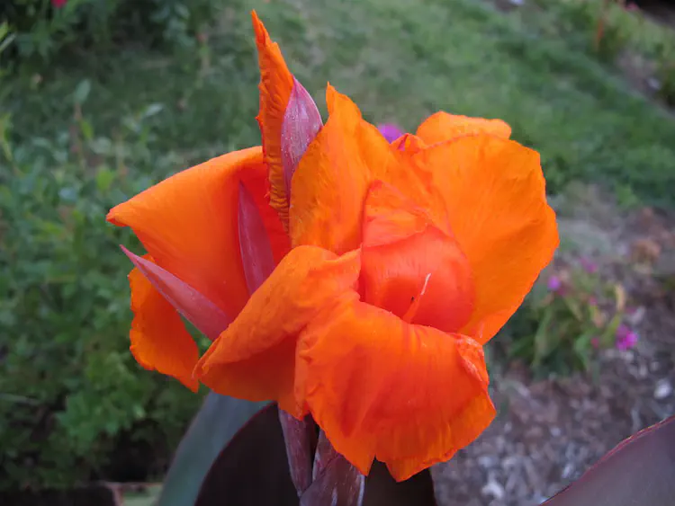 2016-08-21 19.53.54.jpg