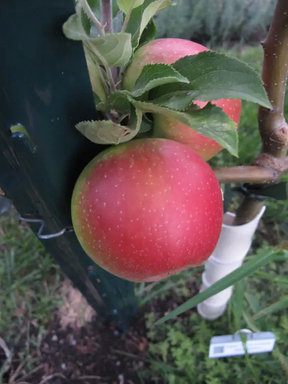 2016-08-29 20.05.22.jpg