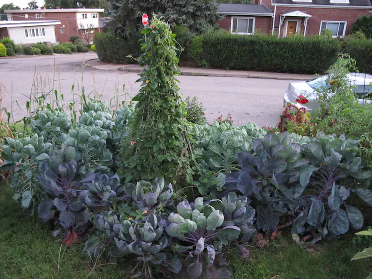 2016-08-29 20.06.47.jpg