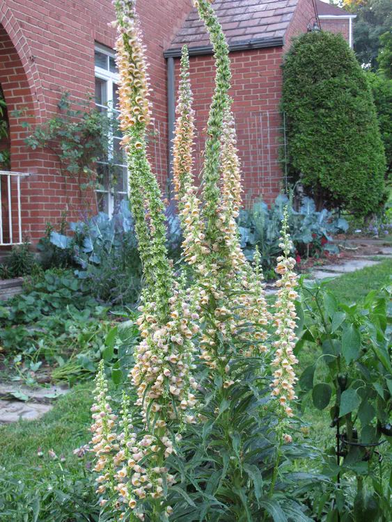 2016-07-01 20.38.09.jpg