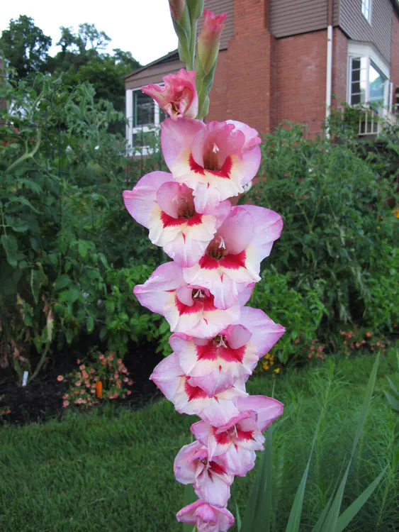 2016-07-01 20.47.52.jpg