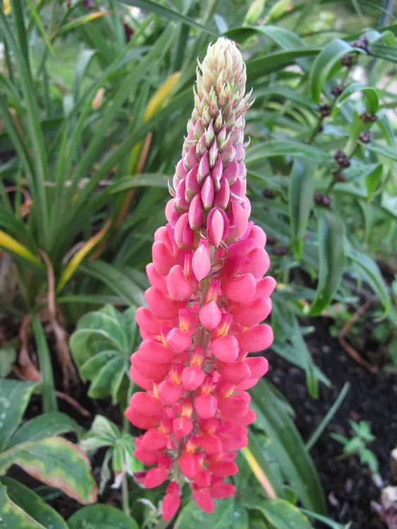 2016-07-01 20.50.01.jpg