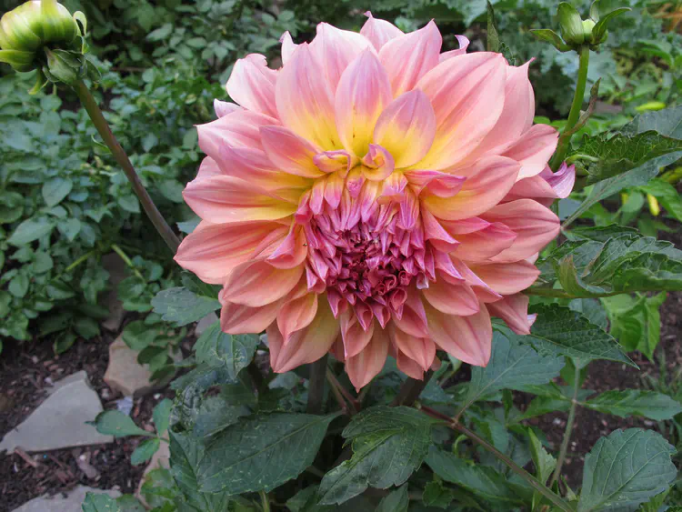 2016-07-07 19.07.10.jpg