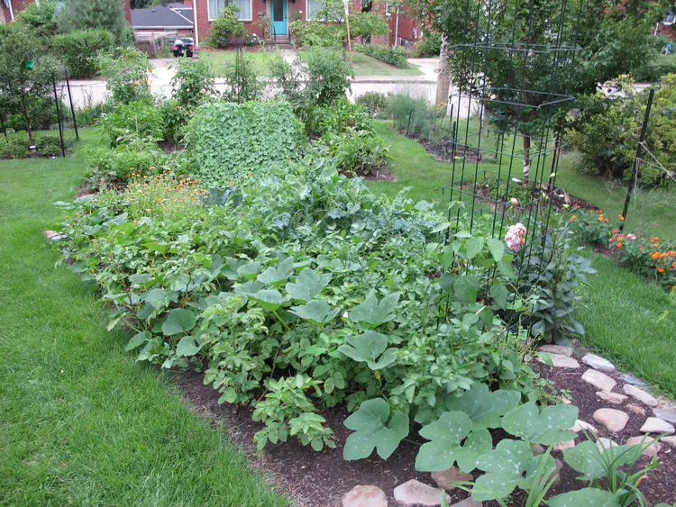 2016-07-26 19.49.22.jpg