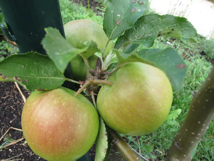 2016-07-30 16.08.31.jpg