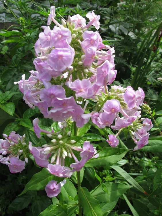 2016-07-30 16.09.50.jpg