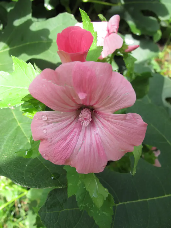 2016-07-30 16.10.31.jpg