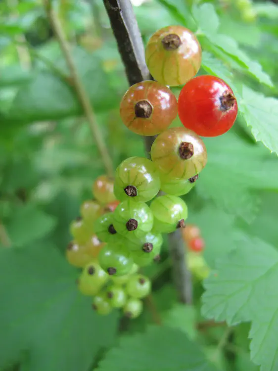 2016-06-05 19.56.45.jpg