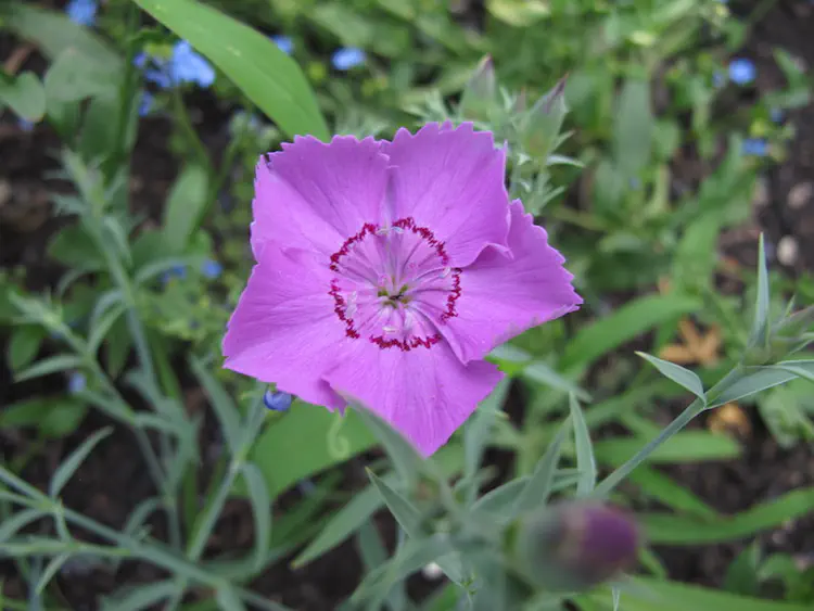 2016-06-13 19.16.58.jpg