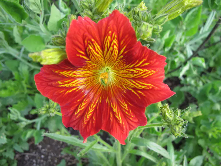 2016-06-13 20.13.52.jpg