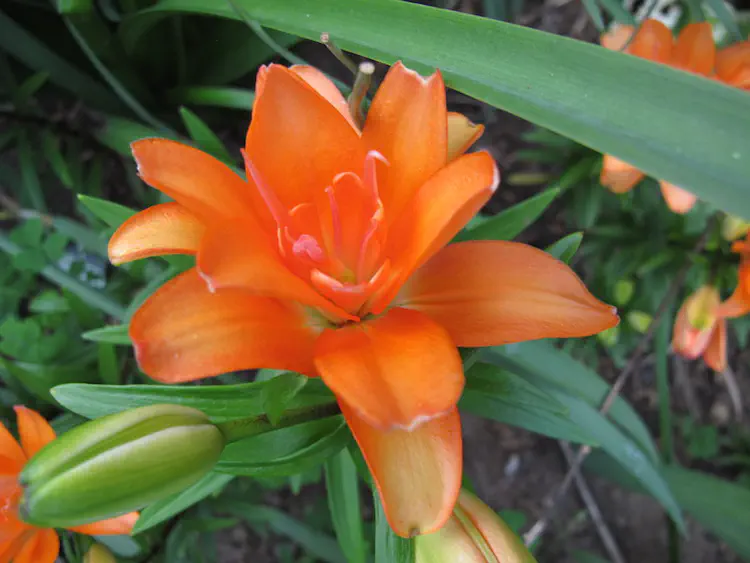 2016-06-13 20.37.05.jpg