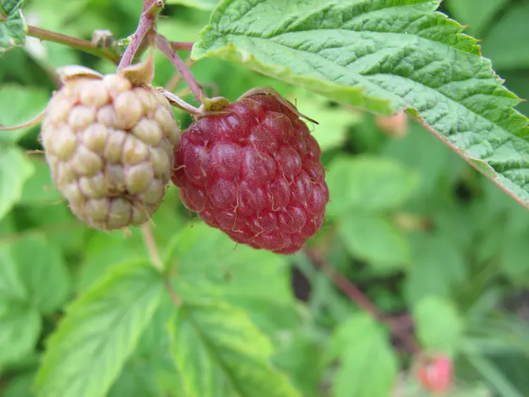 2016-06-18 19.27.44.jpg