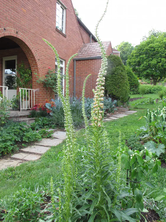 2016-06-18 19.32.52.jpg