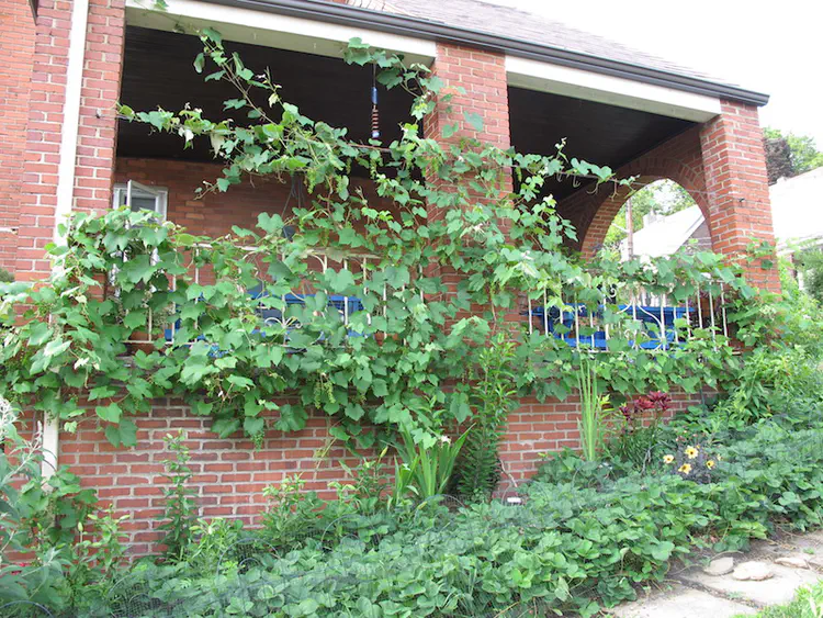 2016-06-18 19.35.01.jpg