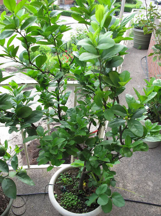 2016-06-18 19.38.57.jpg