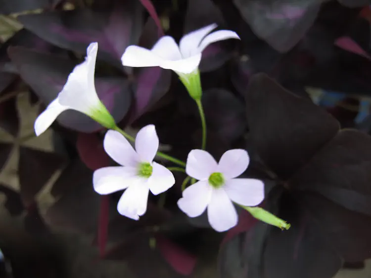 2016-06-19 16.01.32.jpg