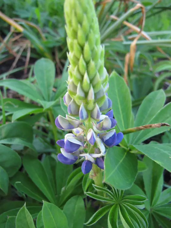 2016-06-25 20.19.46.jpg