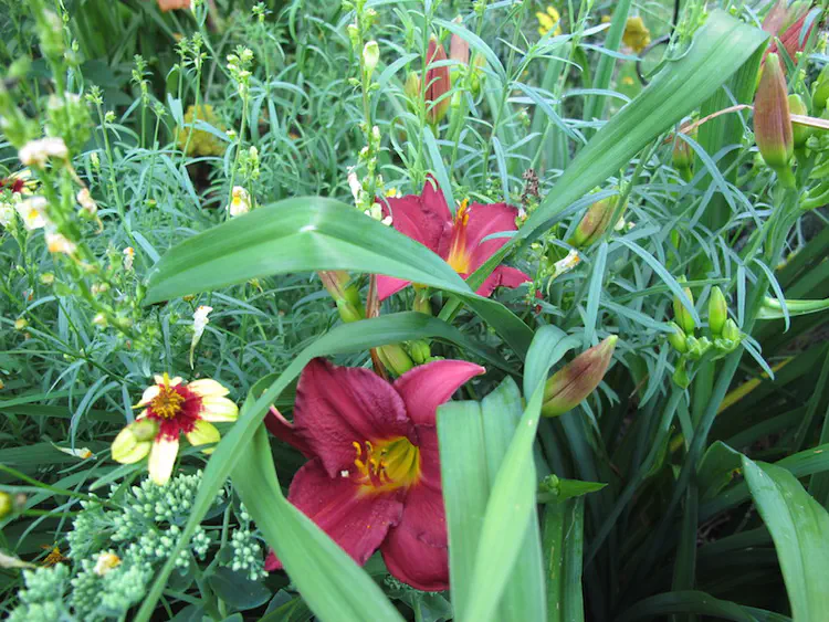 2016-06-25 20.21.57.jpg