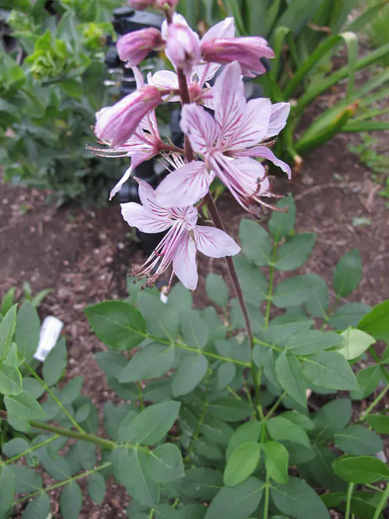 2016-05-09 18.53.38.jpg