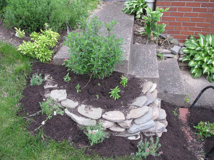 2016-05-09 18.56.56.jpg