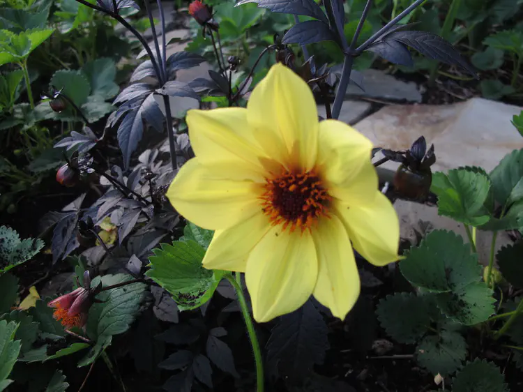 2016-05-12 19.34.33.jpg