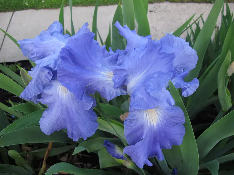 2016-05-12 19.35.52.jpg