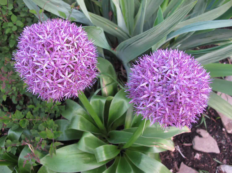 2016-05-12 19.36.24.jpg