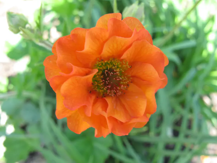 2016-05-15 15.07.58.jpg