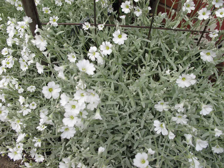 2016-05-15 15.16.24.jpg