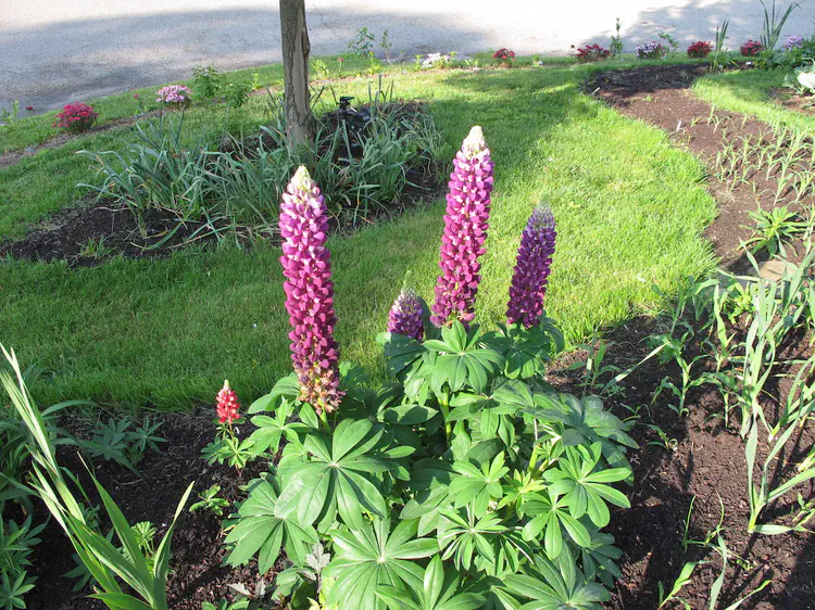 2016-05-31 08.11.41.jpg