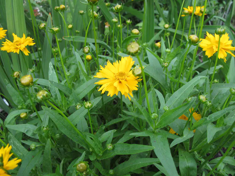 2016-05-31 19.44.34.jpg