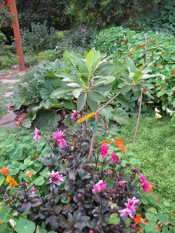 2016-09-01 18.52.43.jpg