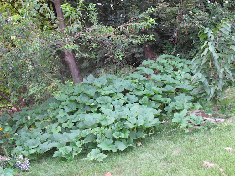 2016-09-01 18.52.54.jpg