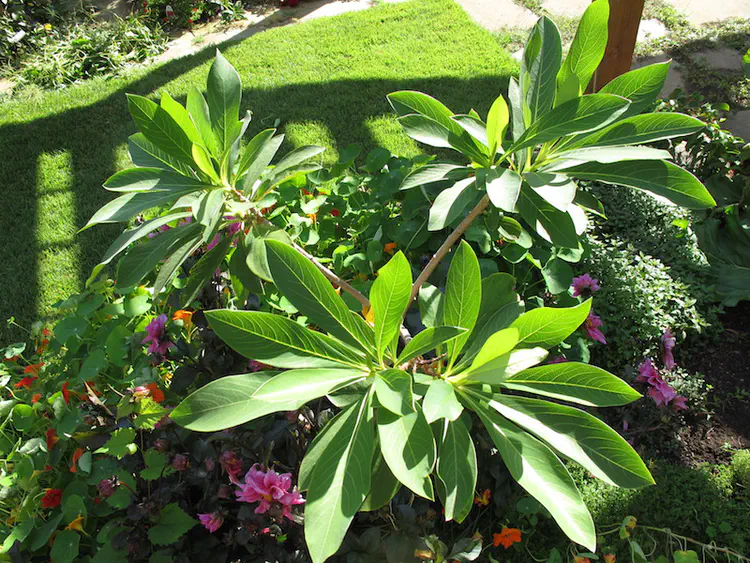 2016-09-11 16.45.21.jpg