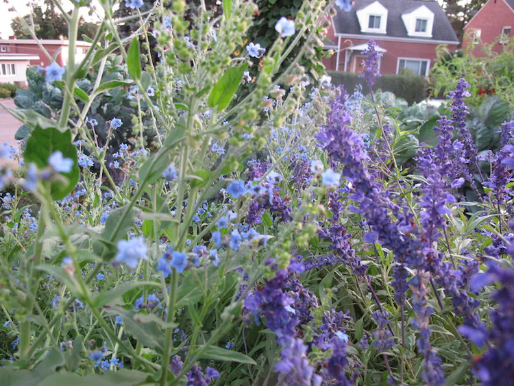 2016-09-25 19.06.45.jpg