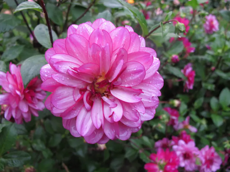 2016-09-30 18.28.43.jpg