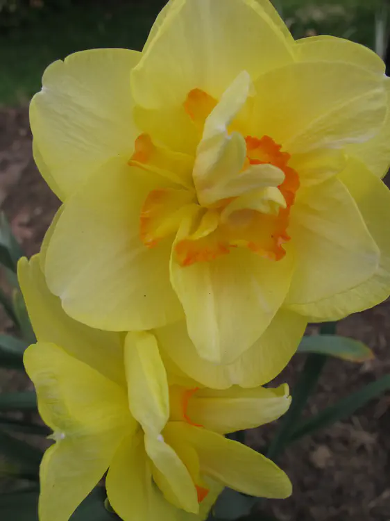 2017-04-13 13.16.58.jpg