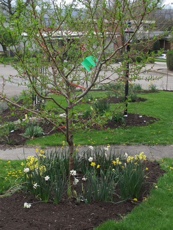 2017-04-16 12.04.23.jpg