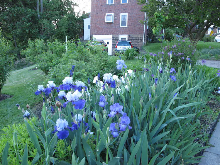 2017-05-07 19.23.58.jpg